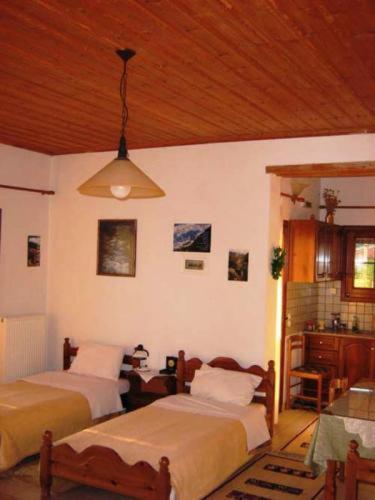 Gerakofolia Rooms To Let Konitsa Dış mekan fotoğraf